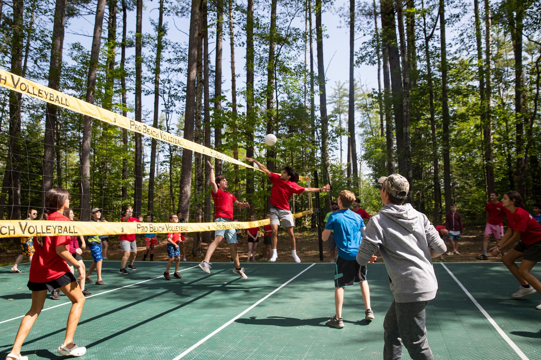 Mass Image Compressor Compressed this image. https://sourceforge.net/projects/icompress/ with Quality:80